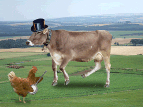 lente3.gif