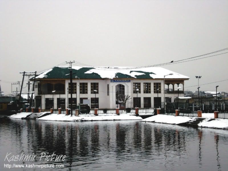 Snowfall In Kashmir. Kashmir Snow fall