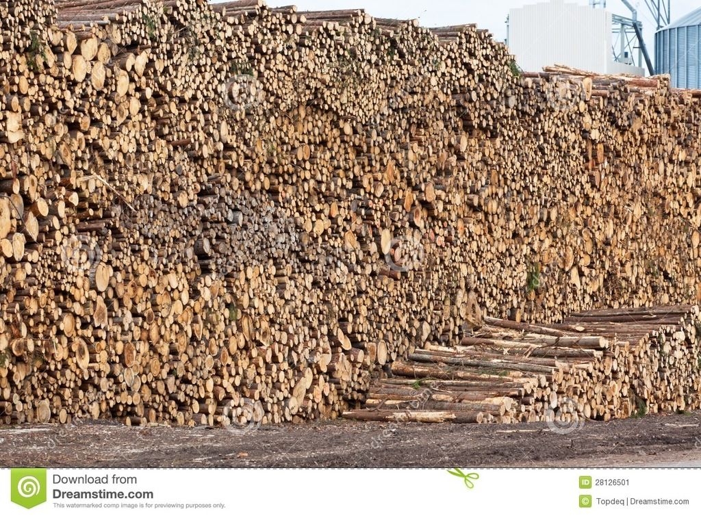 pile-wood-28126501_zpshrzzdy4a.jpg