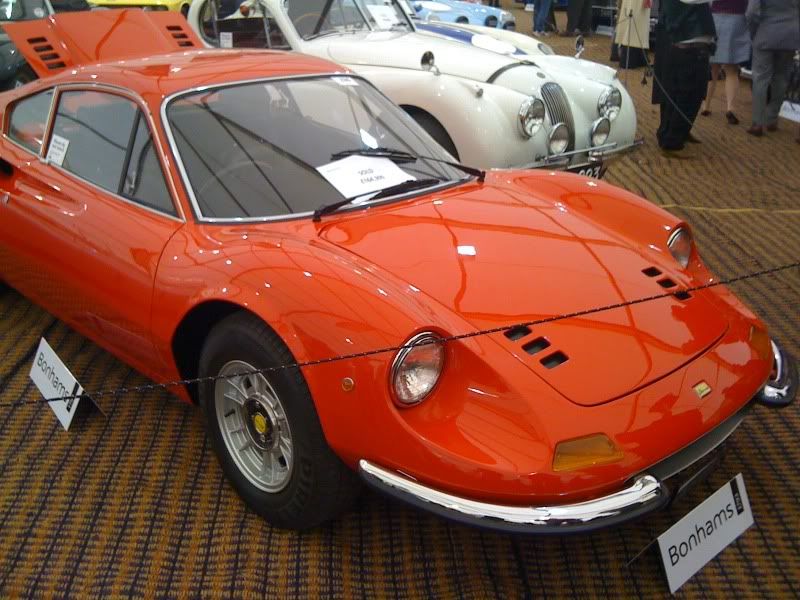 photo8.jpg
