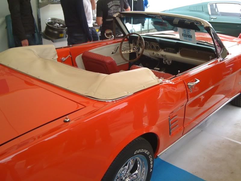 photo9.jpg