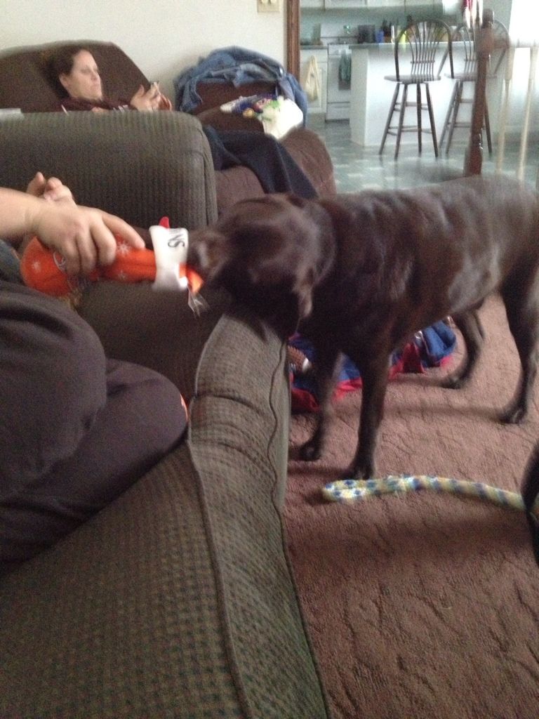 5F7D14EE-9B98-4BDA-9DA6-3B6F73738E21-236