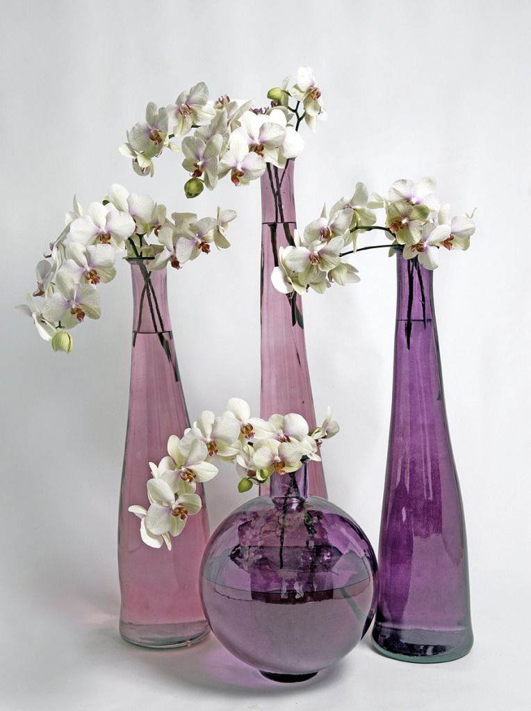 vase and orchid photo: Vase Collection GES-7286s.jpg