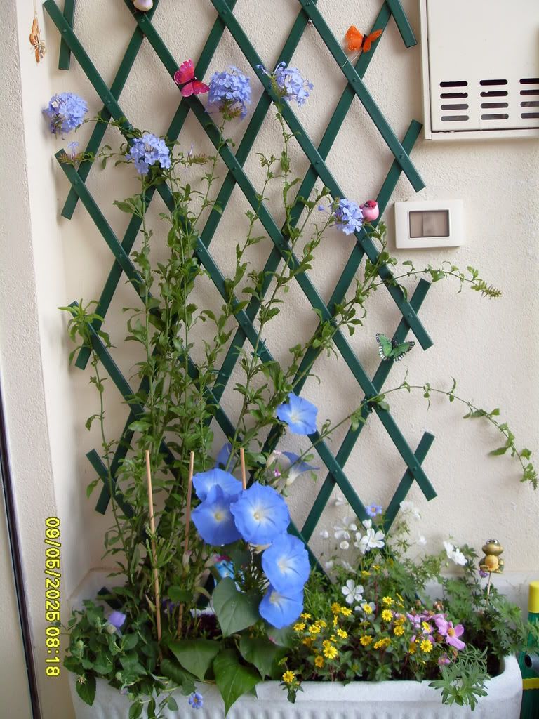 Arredamento terrazzo con piante : arredo terrazzo con piante ...