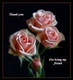 B-ThankYou-2.jpg Thank You image by Jay-R080469