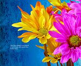 H-Flower.jpg Flower image by Jay-R080469