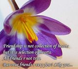 H-Friendship.jpg Friendship image by Jay-R080469