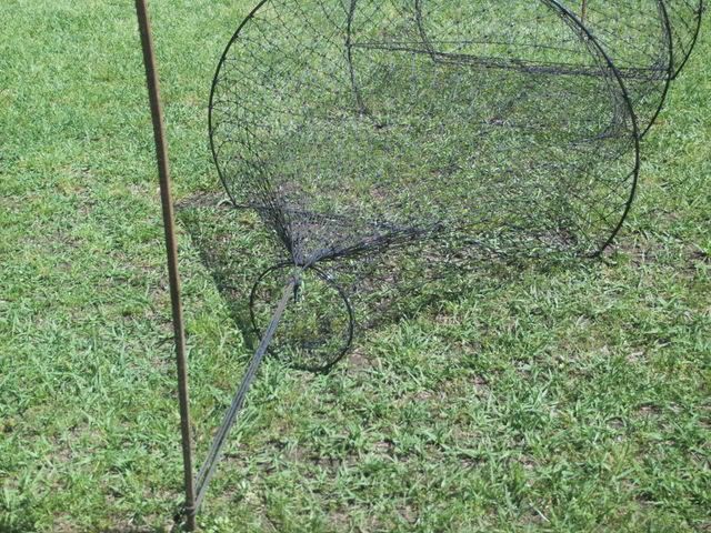 snapping turtle trap