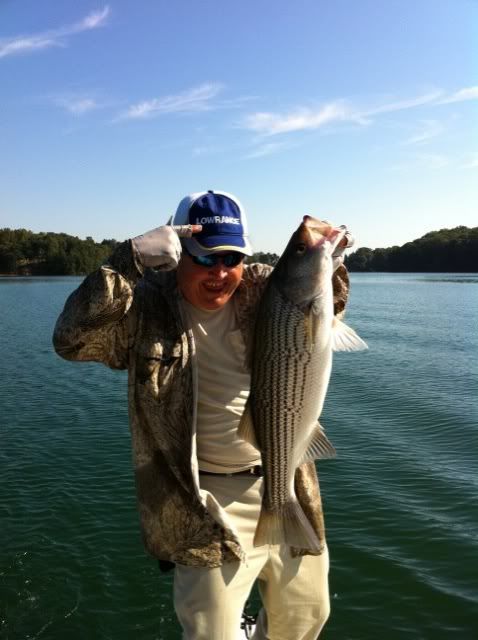 Ken taught me more about my HDS10 than I&squot;ve gleaned in hours upon hours upon days upon weeks of using it AND, he "fixed" my side imaging!