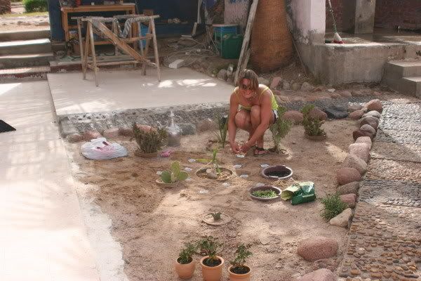 My neighbour's hobby (6 pics)