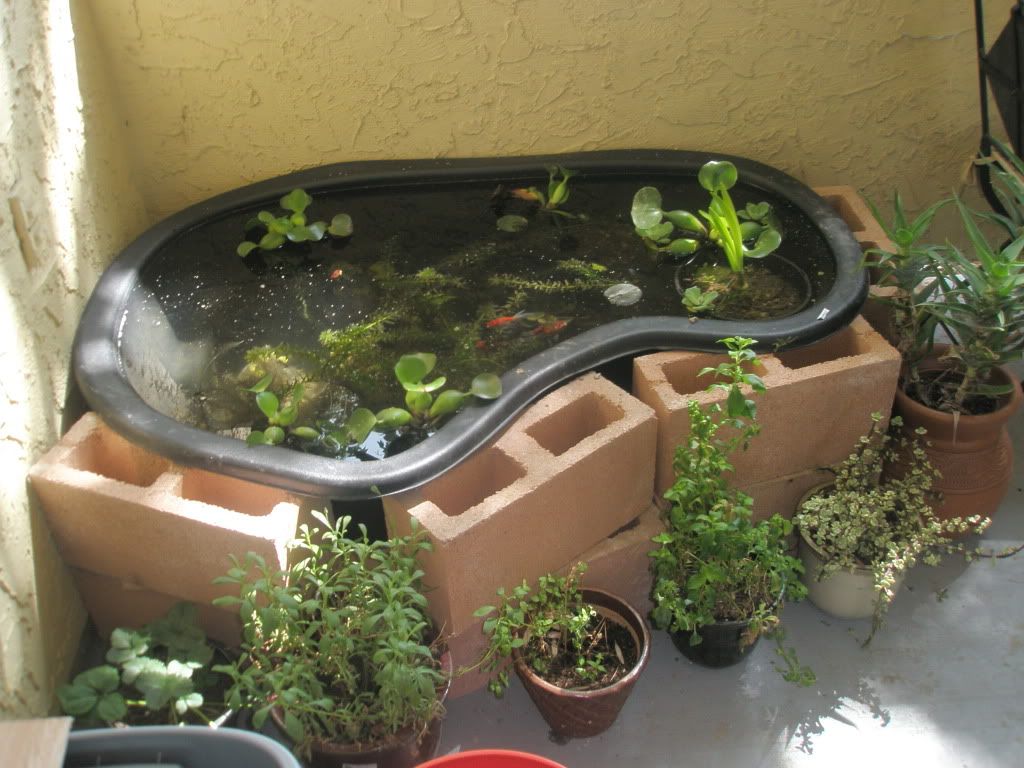 tub pond