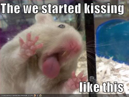 funny hamster pictures. funny-pictures-hamster-kiss-