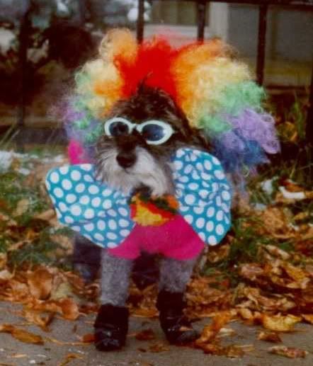Clown With Dog