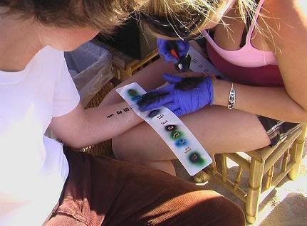 Everything such as airbrush tattoo kits, airbrush tattoo stencil sets,