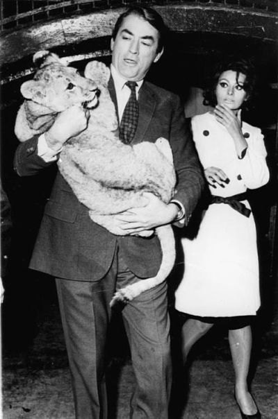  photo Gregory-Peck-Sophia-Loren-and-a-baby-lion-in-1965_opt_zpsbea681f4.jpg
