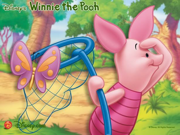 piglet Pictures, Images and Photos