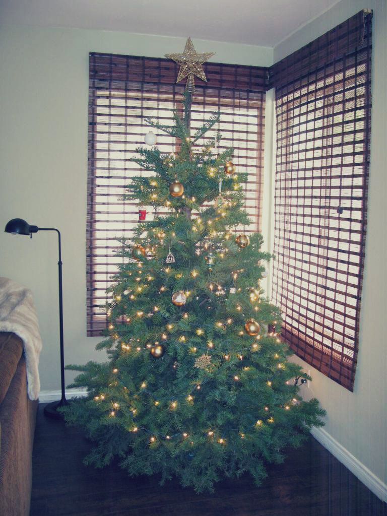 Christmas2012010_zps9d3d63b9