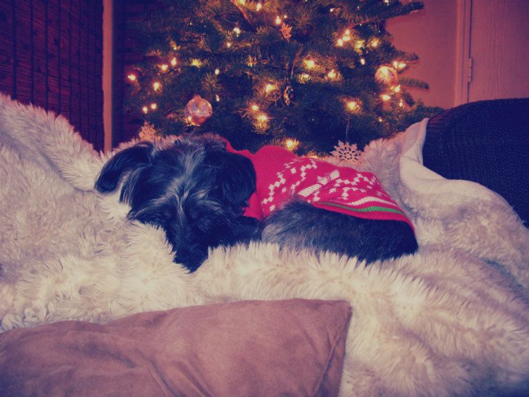 Christmas2012042_zps6a7a4165