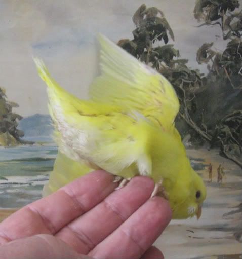 220.jpg
