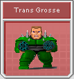 [Image: TransGrosseIcon.png]