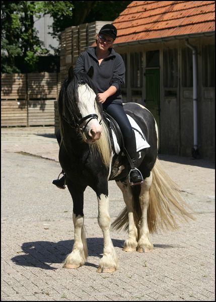 Afbeelding