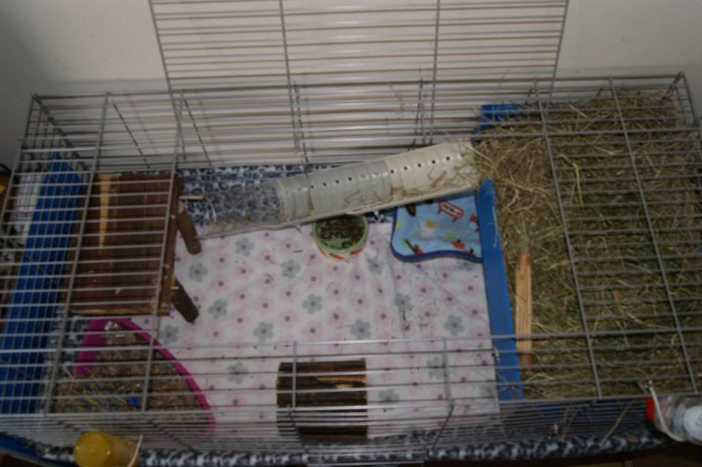 DSC04235_zpsb155e6dd.jpg