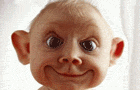 funny_pictures.gif