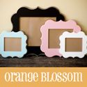 Orange Blossom