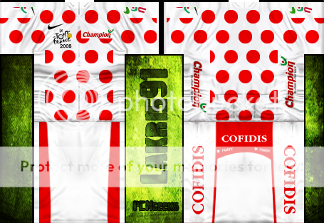 i285.photobucket.com/albums/ll55/lakriste/cofidis%20leader%20jerseys/cof_maillot_mountain_tour.png