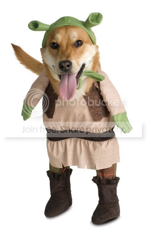 FunnyDogCostumes1.jpg