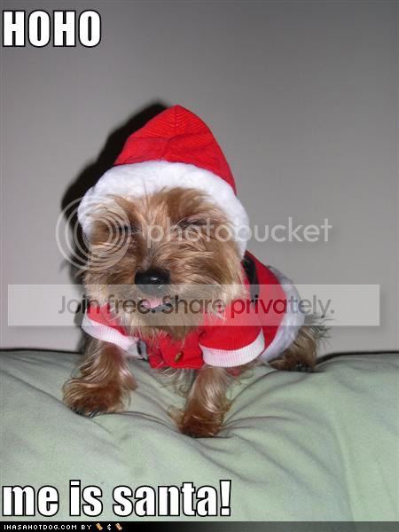 FunnyDogCostumes17.jpg