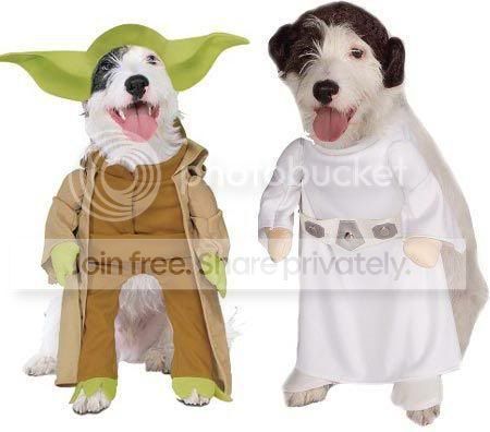 FunnyDogCostumes4.jpg