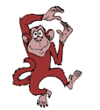 aap dansen