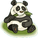 panda aan het eten