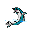 dolfijn in het water