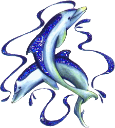 dolfijn glitter