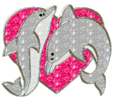 dolfijn met hart