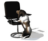 hond en stoel
