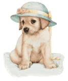 kleine hond met hoed