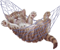 kat in hang mat