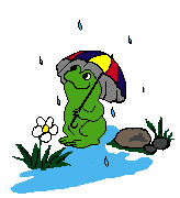 kikker in de regen