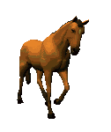 paard