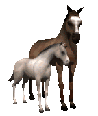 paard met kleintje