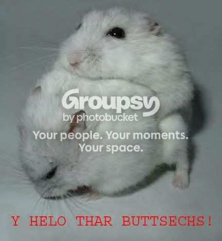 buttsechs.jpg