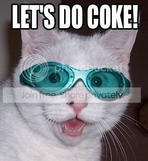 letsdocokecat.jpg
