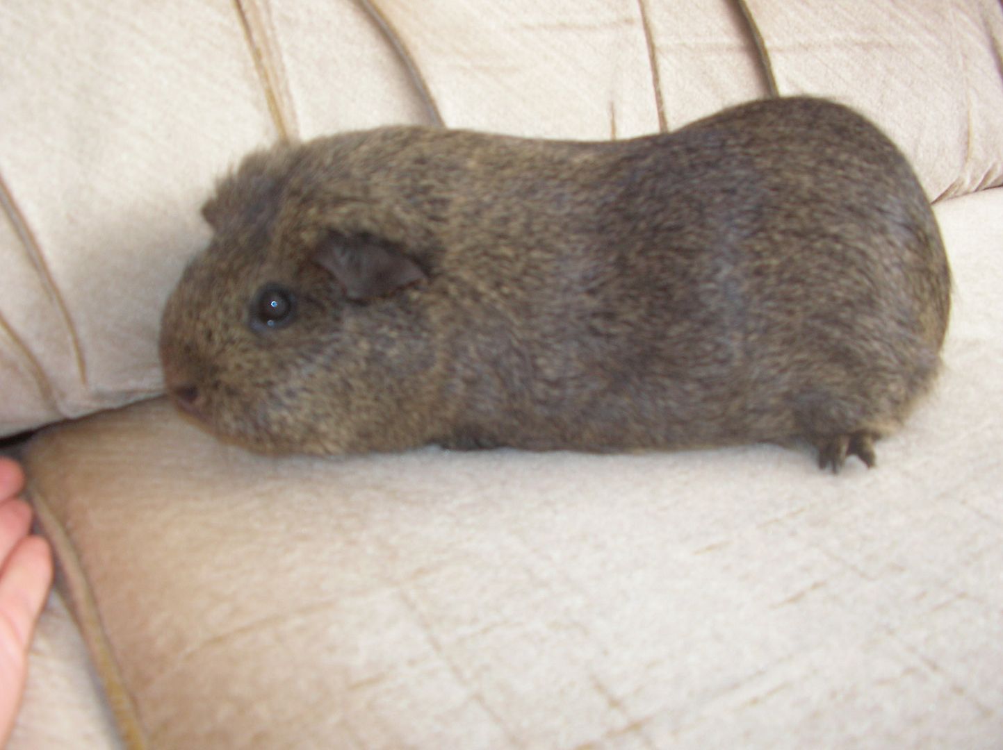jesspicsmay08002.jpg